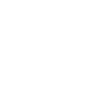 Stone Island Logo